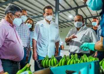 Bisonó destaca recuperación del 97% de los puestos de trabajo en Zonas Francas