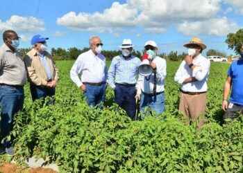 Sector agrícola destaca proyecto de tomates del Grupo Linda que impacta la LN