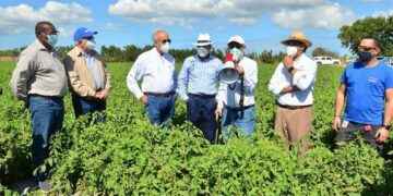 Sector agrícola destaca proyecto de tomates del Grupo Linda que impacta la LN