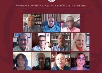 TC conoció y decidió 29 expedientes sobre distintos procesos constitucionales
