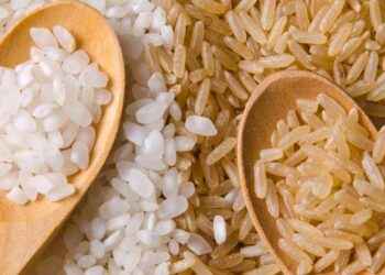 ¿Blanco o integral? y otras dudas frecuentes sobre el arroz