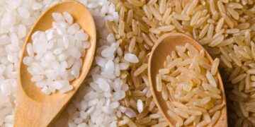 ¿Blanco o integral? y otras dudas frecuentes sobre el arroz