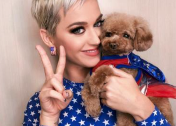 Katy Perry quiere que su mascota sea vegana y «desata carnicería mediática» en su contra