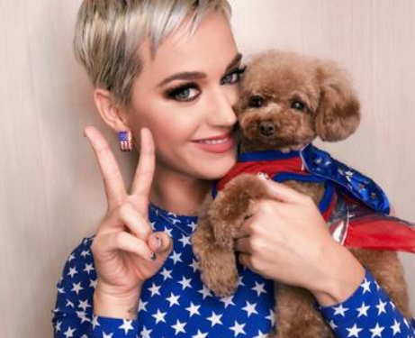 Katy Perry quiere que su mascota sea vegana y «desata carnicería mediática» en su contra