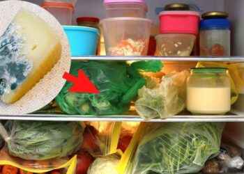 Método “Eco” para desinfectar tu refrigerador a profundidad (elimina bacterias y mal olor)