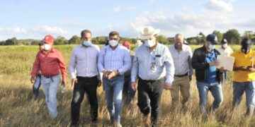 Ministro de Agricultura recorre zonas ganaderas de la Línea Noroeste