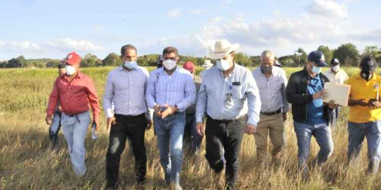 Ministro de Agricultura recorre zonas ganaderas de la Línea Noroeste