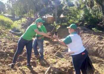 Cooperativa La Altagracia realiza jornadas de reforestación