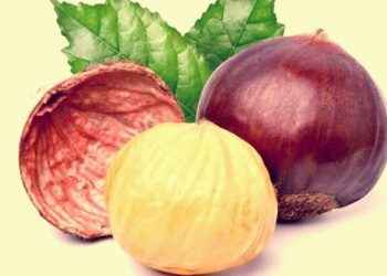 Vitamina C, efecto saciante y otros secretos de las castañas