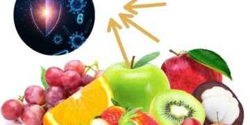 Dieta alta en fructosa podría debilitar el funcionamiento del sistema inmunológico