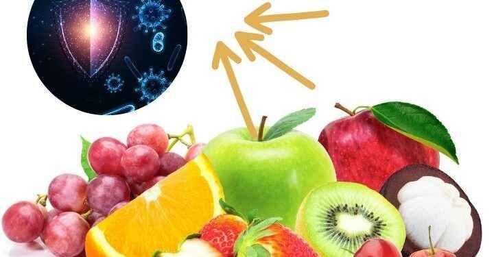 Dieta alta en fructosa podría debilitar el funcionamiento del sistema inmunológico