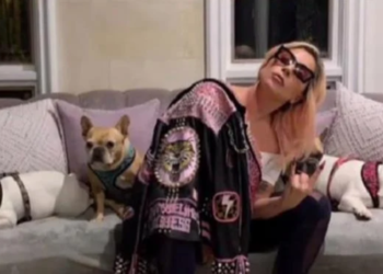 Lady Gaga recupera sus perros sanos y salvos