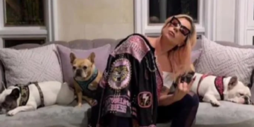 Lady Gaga recupera sus perros sanos y salvos