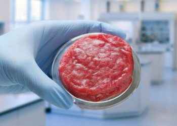 Carne y pescado de laboratorio: ¿qué dicen los expertos?