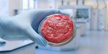 Carne y pescado de laboratorio: ¿qué dicen los expertos?