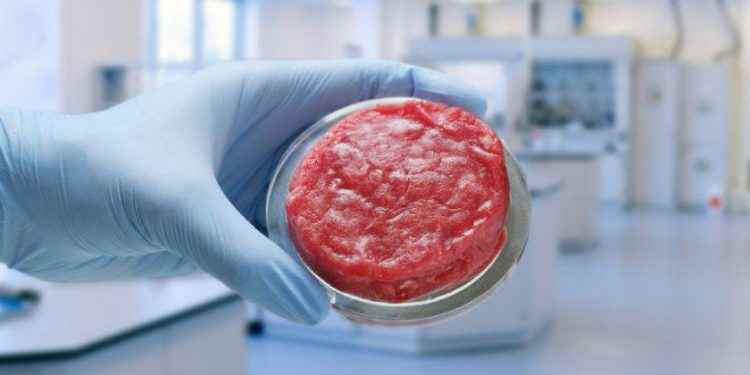 Carne y pescado de laboratorio: ¿qué dicen los expertos?