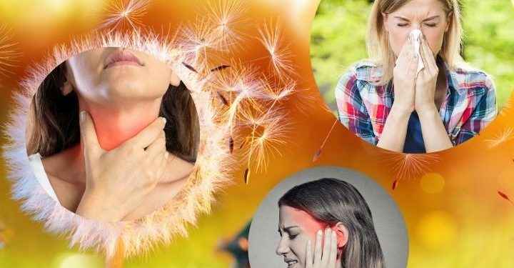 Cómo prevenir enfermedades respiratorias en primavera