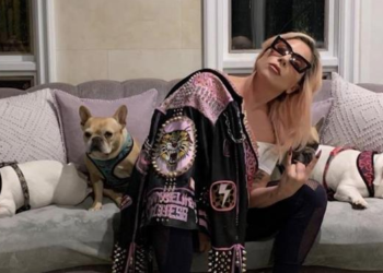 Paseador de perros de Lady Gaga habla por primera vez tras tiroteo