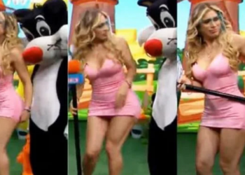 ¡Oh oh!, ¿y este gato acosador?: modelo recibe agresión sexual durante programa de TV en vivo