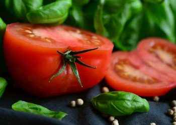 Vegano