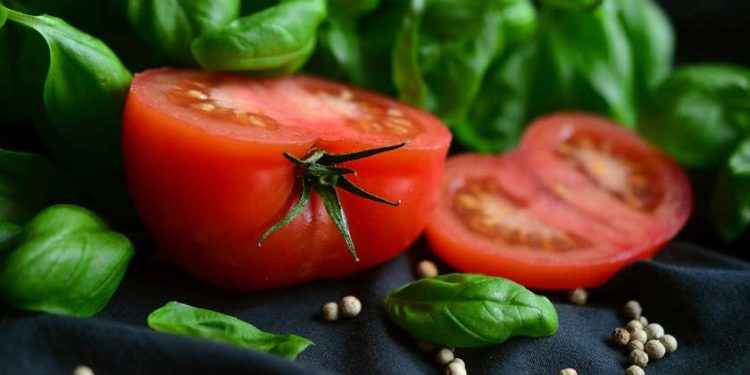 Vegano