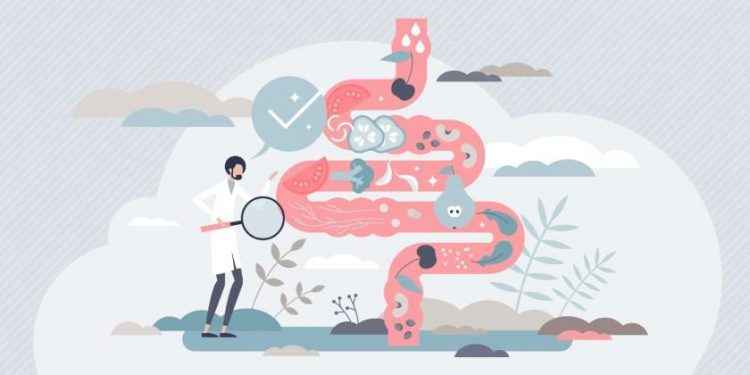 ¿Existe el síndrome del intestino permeable?