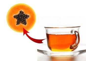 Té de semillas de papaya: cuáles son sus beneficios y cómo prepararlo