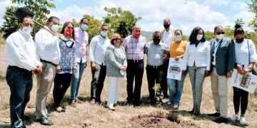 Plantan árbol de guaconejo en acto «Siembra un árbol y salva el planeta»
