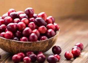 Arándanos contra la cistitis: ¿mito o realidad?
