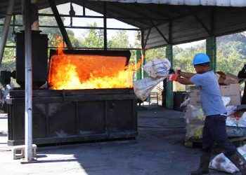 Pro Consumidor destruye 25 mil productos dañados que fueron decomisados