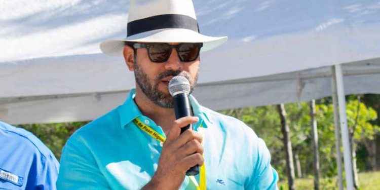 Piden a diputados aprobar proyecto que declara al caballo de paso Higueyano raza nacional