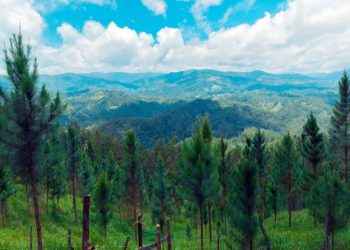 Plan Sierra suma 18 nuevos aliados y juramenta su nueva junta directiva