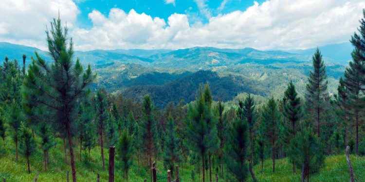 Plan Sierra suma 18 nuevos aliados y juramenta su nueva junta directiva