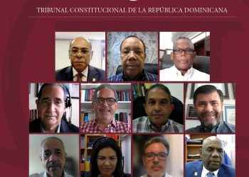 Pleno del TC decidió sobre veinticinco expedientes