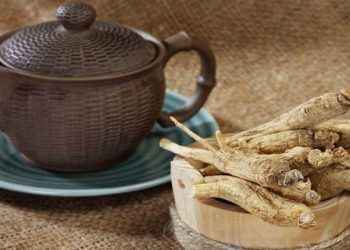 Ginseng
