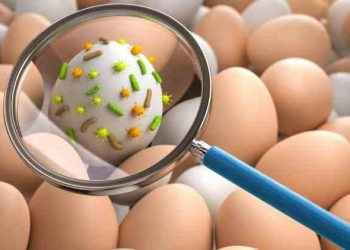 Cómo evitar la salmonelosis y qué hacer si me intoxico