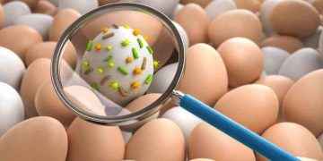 Cómo evitar la salmonelosis y qué hacer si me intoxico
