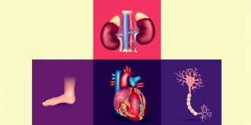 Así puede afectar la diabetes a los distintos órganos del cuerpo