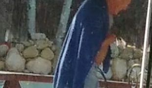 Denuncian empresario belga condenado en su país por fraude se burla de autoridades migratorias dominicanas