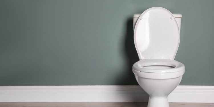 Cómo cambia el hipospadias la morfología del pene