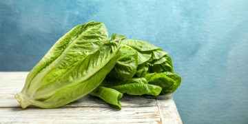 Esto es lo que la lechuga puede hacer por tu cuerpo
