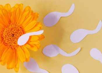 ¿La calidad del semen es peor en verano?