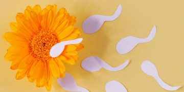 ¿La calidad del semen es peor en verano?