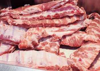 Carne de cerdo que llega al mercado es inofensiva y sana para el consumo humano