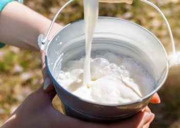 Leche de vaca: ¿qué nos aporta realmente?
