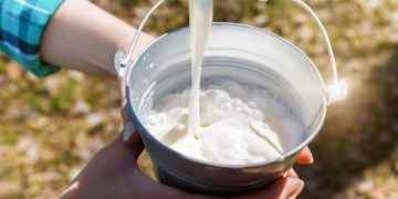 Leche de vaca: ¿qué nos aporta realmente?