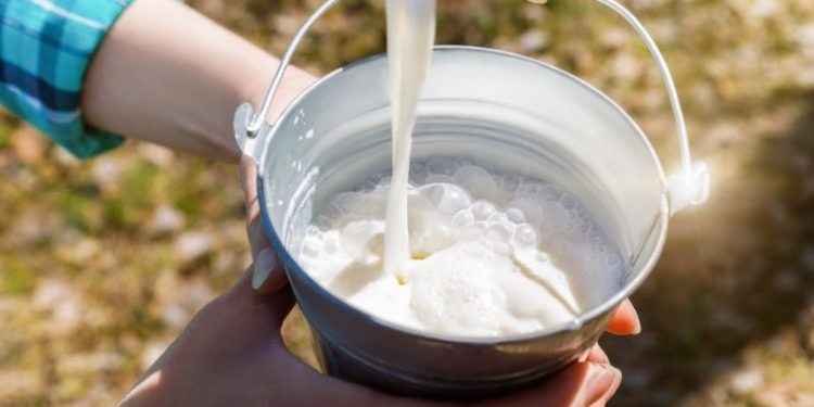Leche de vaca: ¿qué nos aporta realmente?
