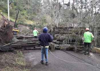 Edenorte informa salida de varios circuitos por vientos y fuertes lluvias