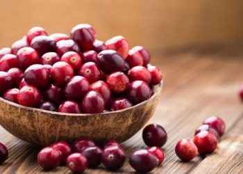 Arándanos contra la cistitis: ¿mito o realidad?