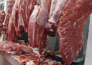 RD aspira a exportar US$690 mm en carne en 5 años